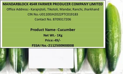 Cucumber