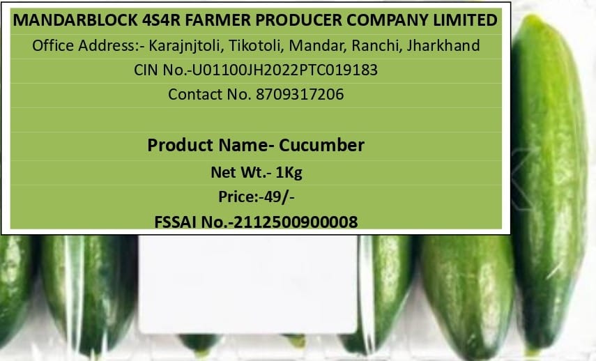 Cucumber