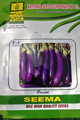 NSC Brinjal (Eggplant) Seeds – Seema Variety (10g Pack)