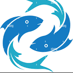 Fishermen Co-op Society Dowdepally