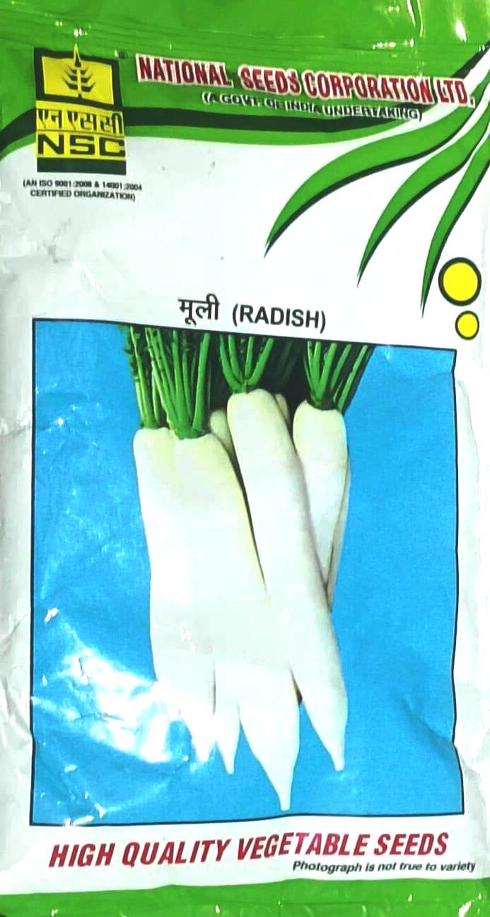 Radish (PUSA CHETKI)