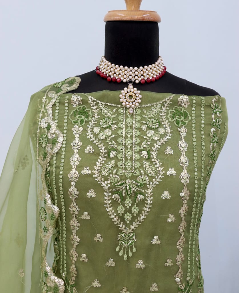 elegant green organza Pakistani suit for women
