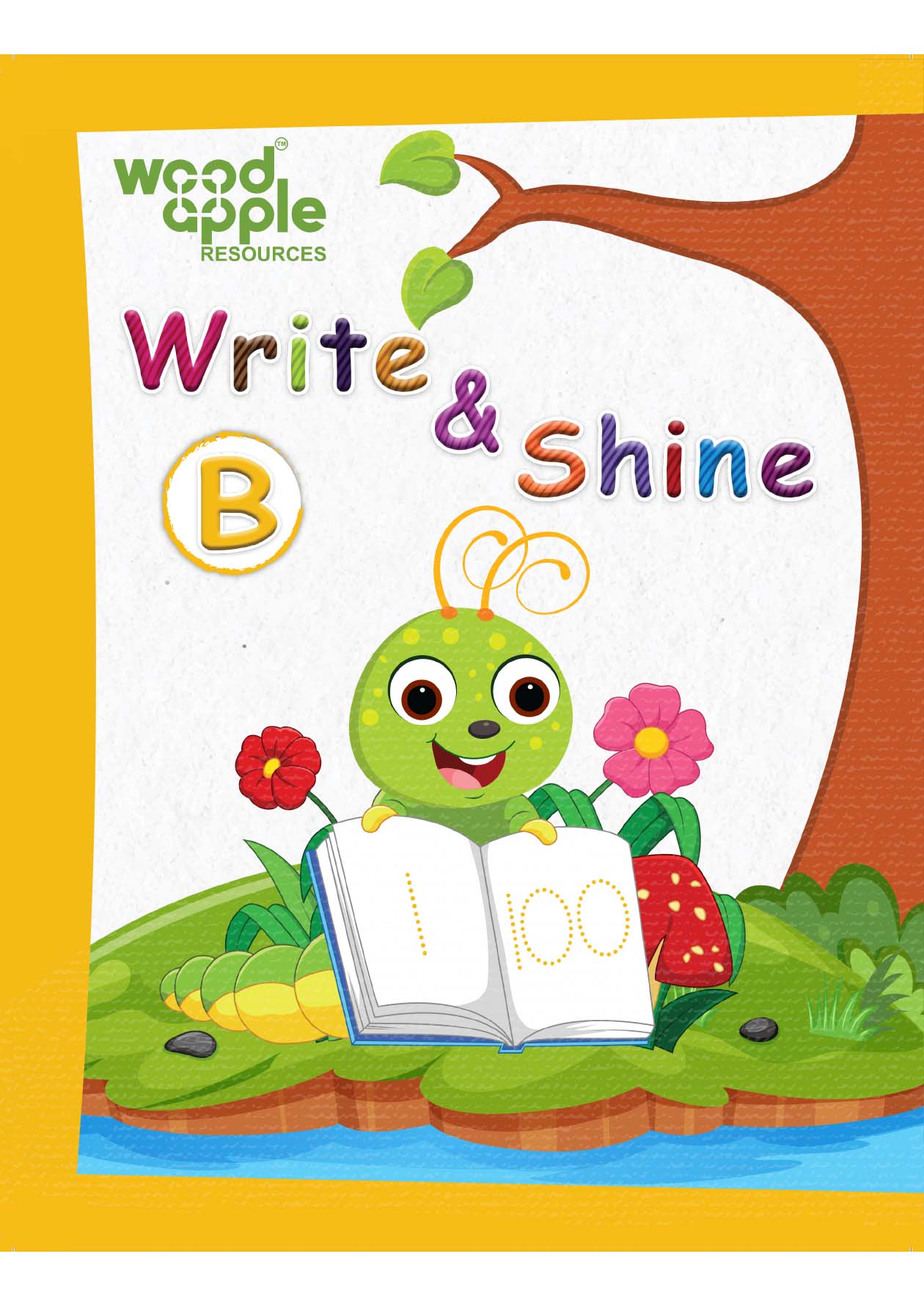 Write & Shine B (Math)
