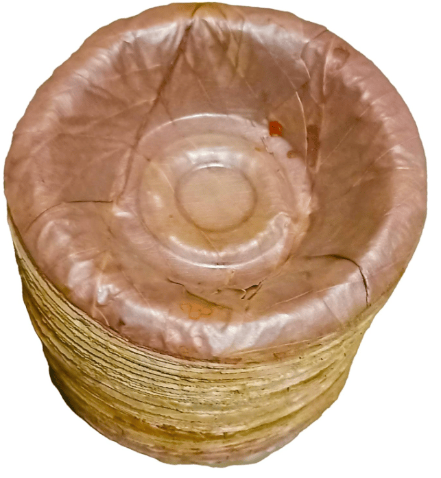 Eco-Friendly Leaf Bowls - Natural & Sustainable Disposable Tableware