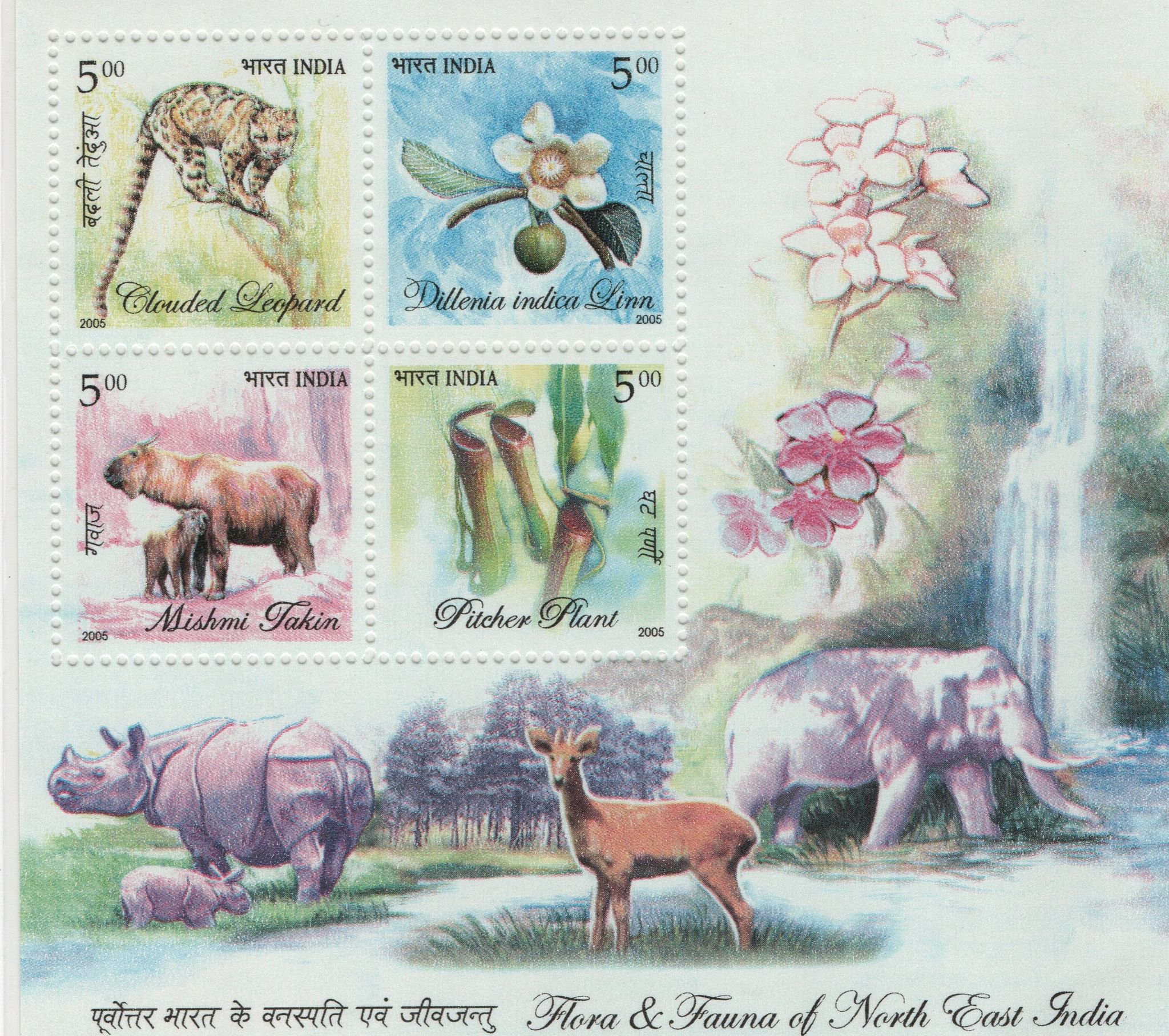 Shobhaphila's 2005 Flora & Fauna of North East India Indian Miniature Sheet Stamp ( 24th Mar 2005)