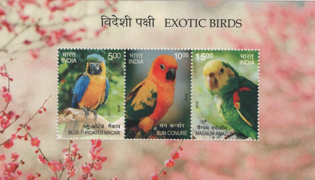 Shobhaphila's 2016 Exotic Birds of India Indian Miniature Sheet Stamp ( 5th Dec 2016) ( 2 Sheets)