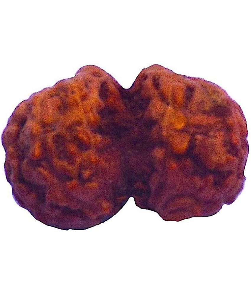 RUDRA DIVINE Rudraksha Pack of 1