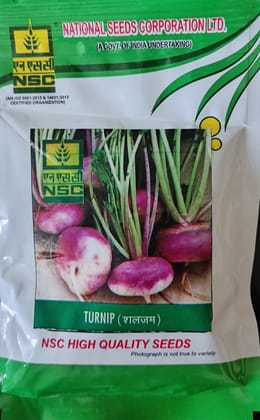 NSC High Quality Turnip Seeds/ PTWG (50 gms) NSC High Quality Turnip Seeds/ PTWG (50 gms)