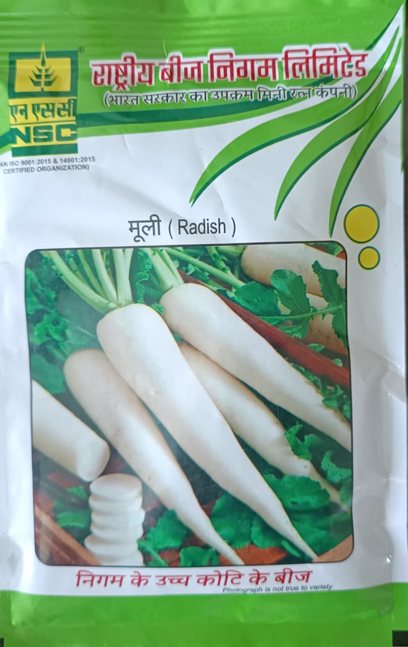 NSC Radish Seeds (Mooli) / KASHI HANS - High-Quality Vegetable Seeds (100 gm) T/L