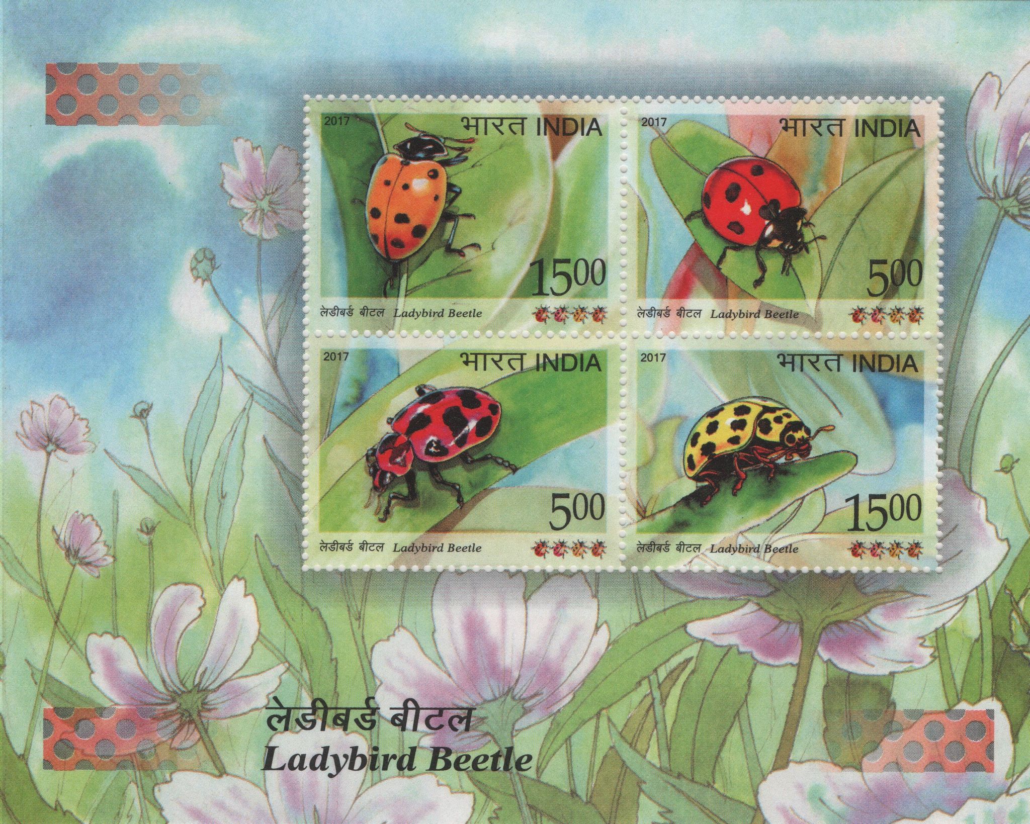 Shobhaphila's 2017 Ladybird Beetle Indian Miniature Sheet Stamps ( 23rd Feb 2017)