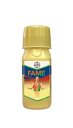 Bayer (Fame)