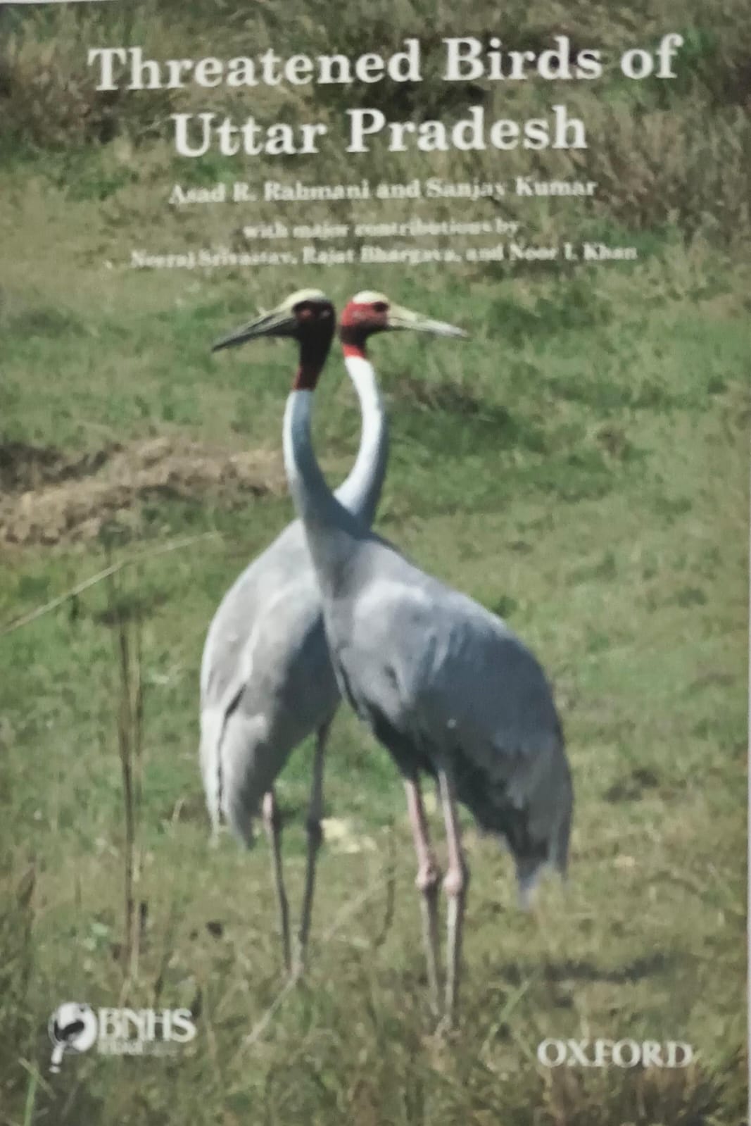Threatened Birds of Uttar Pradesh