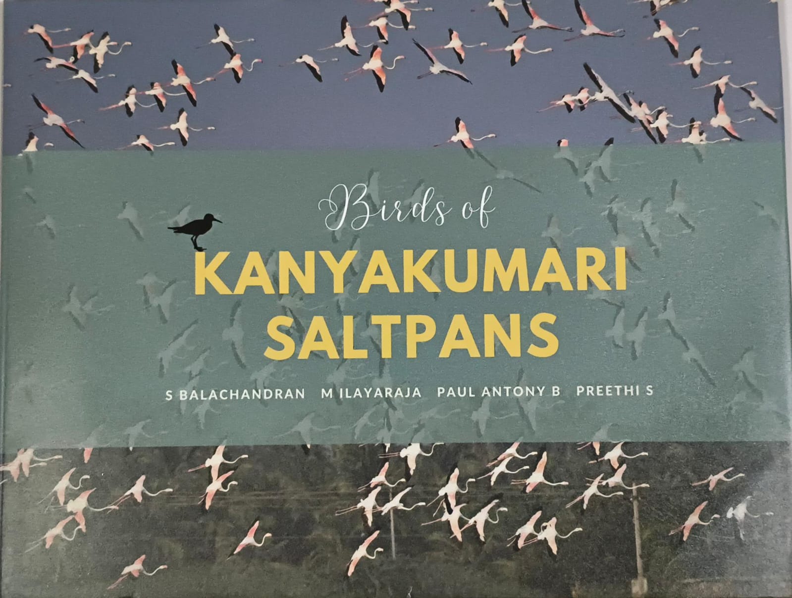 Kanyakumari Saltpans