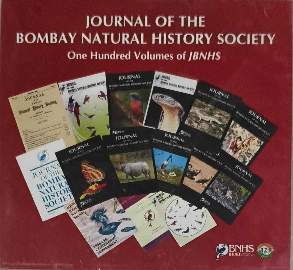 100 Volumes of JBNHS in DVD