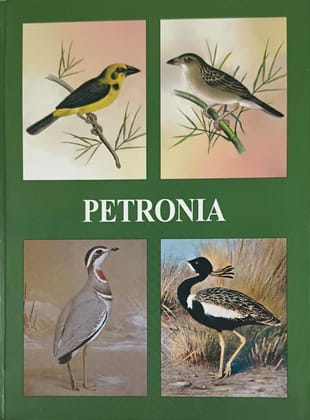 Petronia