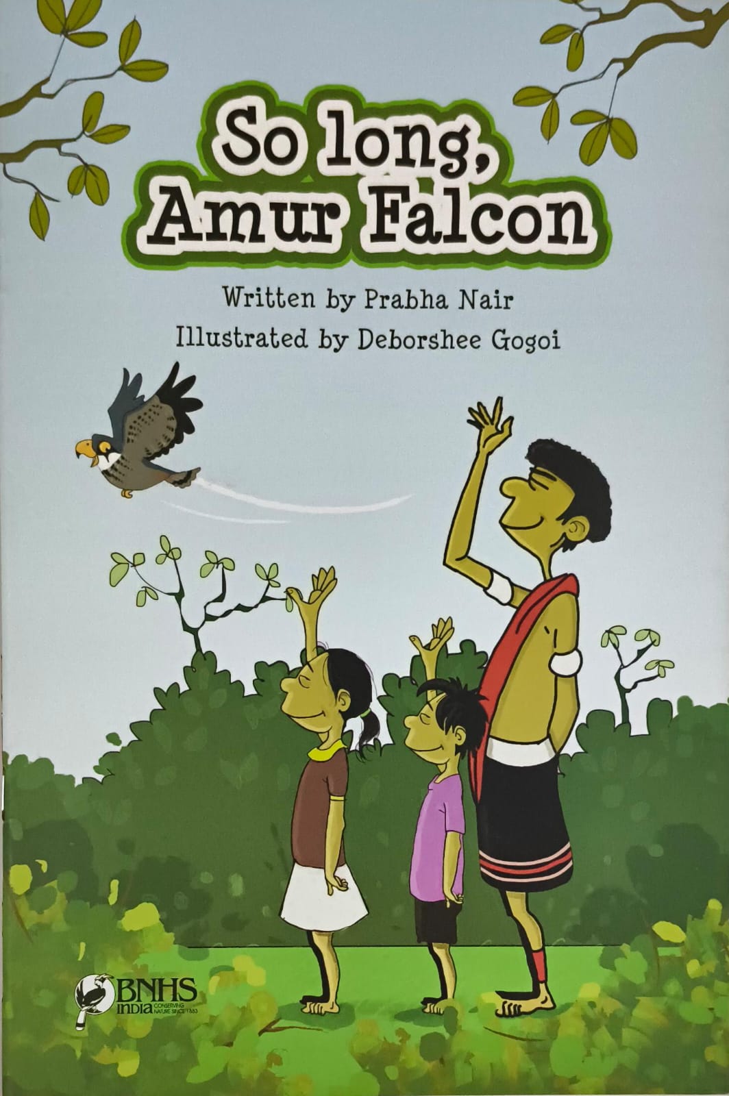 So Long Amur Falcon