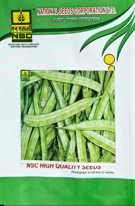 NSC Guar (Clusterbean)/PNB TL 10gm