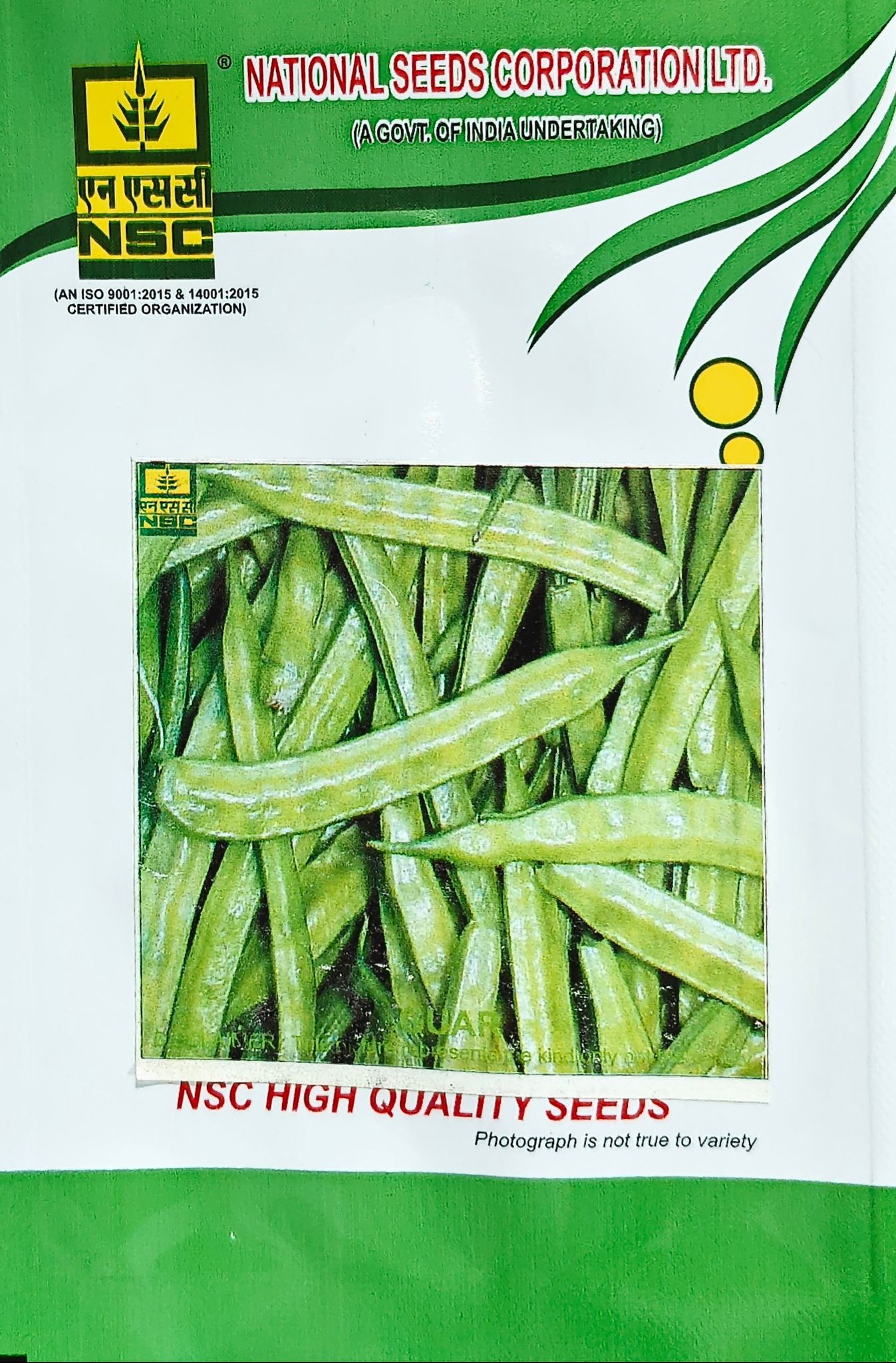 NSC Guar (Clusterbean)/PNB TL 10gm