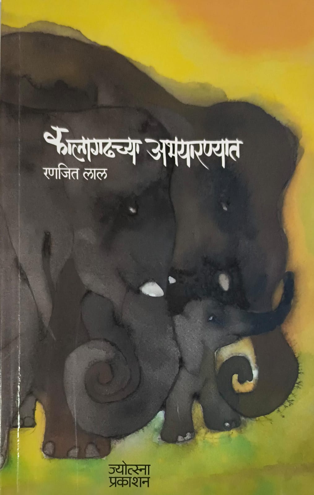 Kalagadchya Abhayranyat