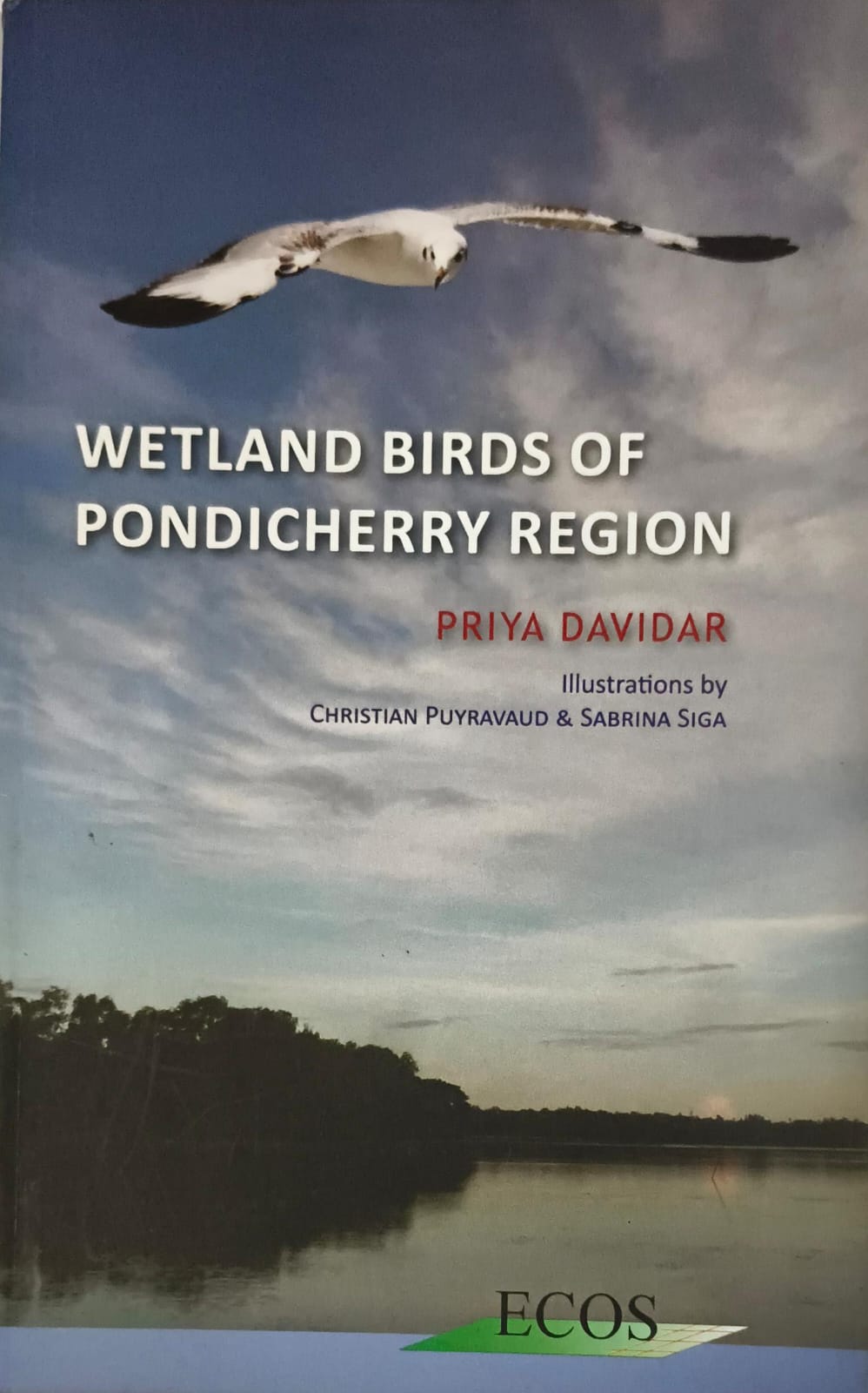 Wetland Birds of Pondicherry Region