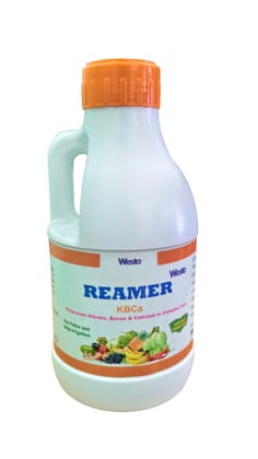 REAMER