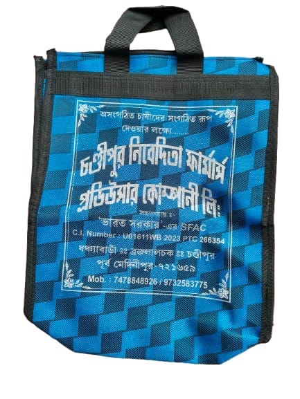 Eco-Friendly Blue Checkered Reusable Shopping Bag - Chandipur Nivedita Farmers