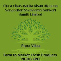 Pipra Vikas Mahila Kisan Utpadak Sangathan Swavlambi Sahkari Samiti Limited