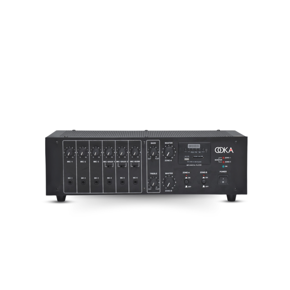 Ooka Audio Big Boy 200 Amplifier