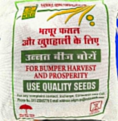 NSC Mustard Seeds – Pusa Mustard-32 (PM-32), Certified Seed