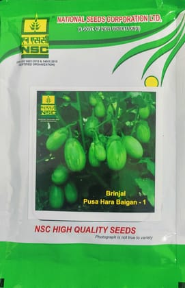 NSC BRINJAL-PUSA HARA BAIGAN-1, 50 gm TL SEED POUCH