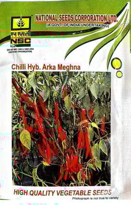 NSC Chillies Hyb. Arka Meghna