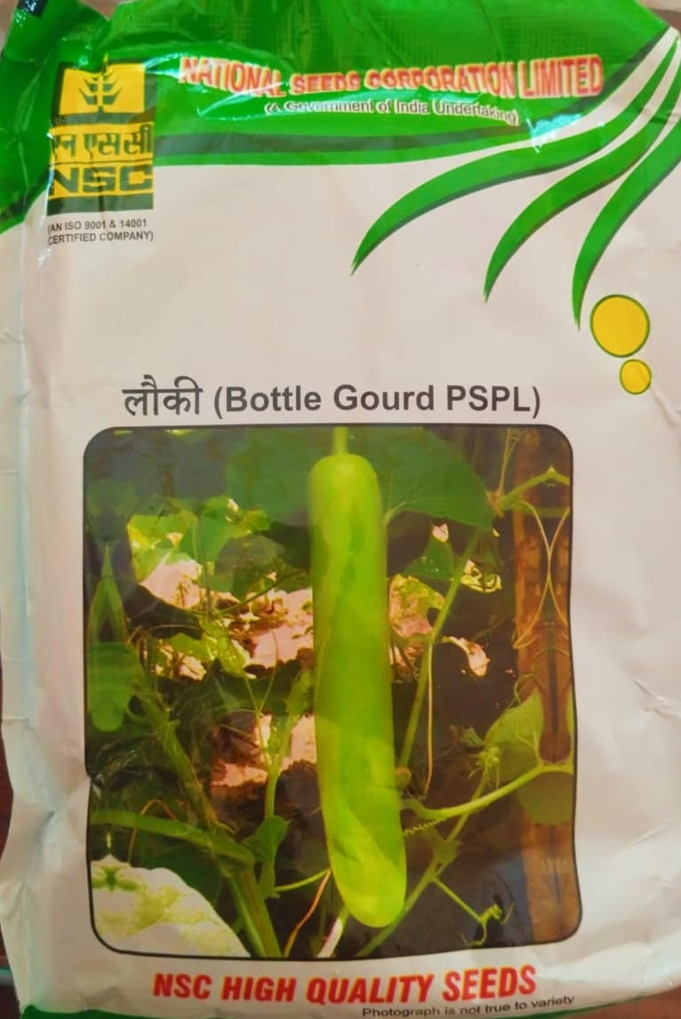 NSC BOTTLEGOURD-PSPL, 100 gm, TL SEED POUCH