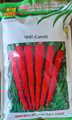 NSC High Quality Carrot Seeds / PUSA RUDHIRA (250 gms) - Fresh & Flavorful, Home Garden NSC High Quality Carrot Seeds / PUSA RUDHIRA (250 gms) - Fresh & Flavorful, Home Garden