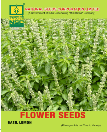 NSC Basil Lemon (5 gm packing)