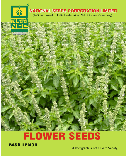 NSC Basil Lemon (5 gm packing)