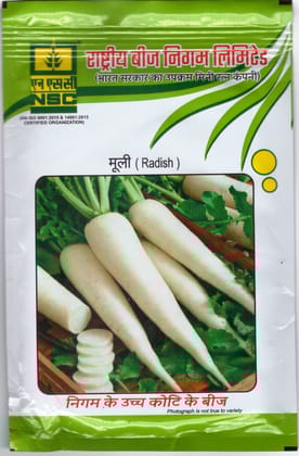 NSC _ Radish (Mooli) Seeds_ Variety Kashi Hans 50gm