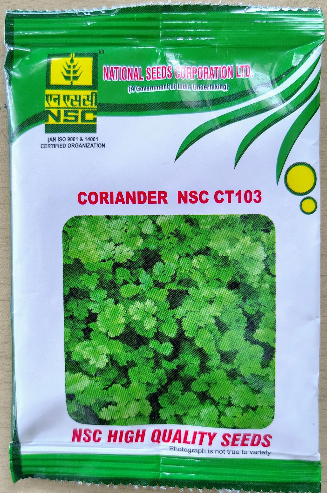 CORIANDER NSC CT103