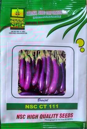 BRINJAL NSC CT 111