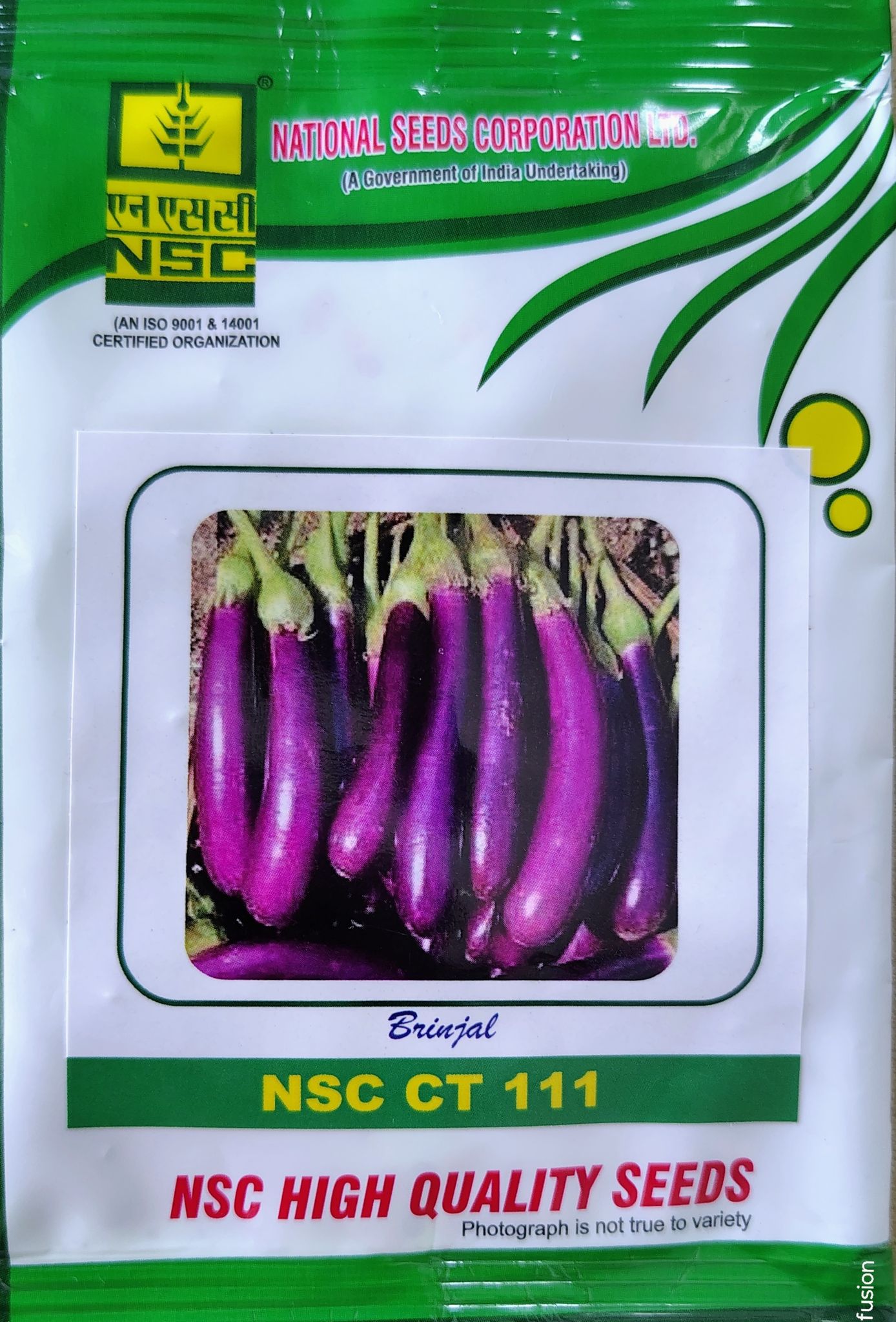 BRINJAL NSC CT 111