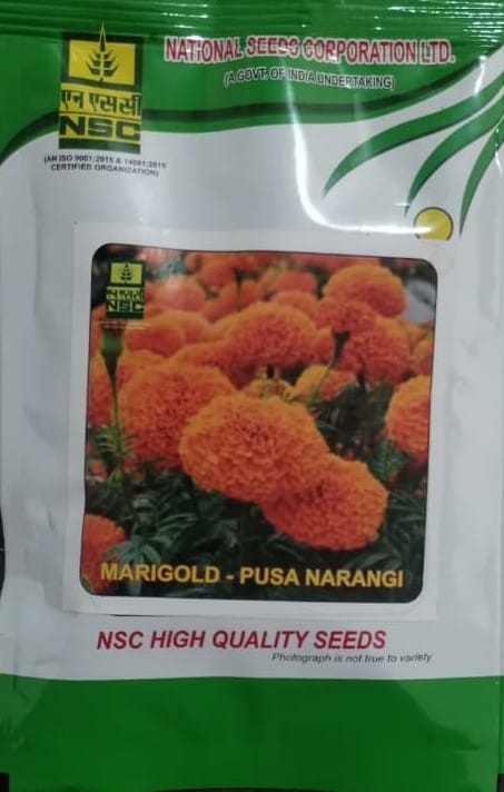 NSC High Quality Marigold Pusa Narangi Flower Seeds for Vibrant Gardens