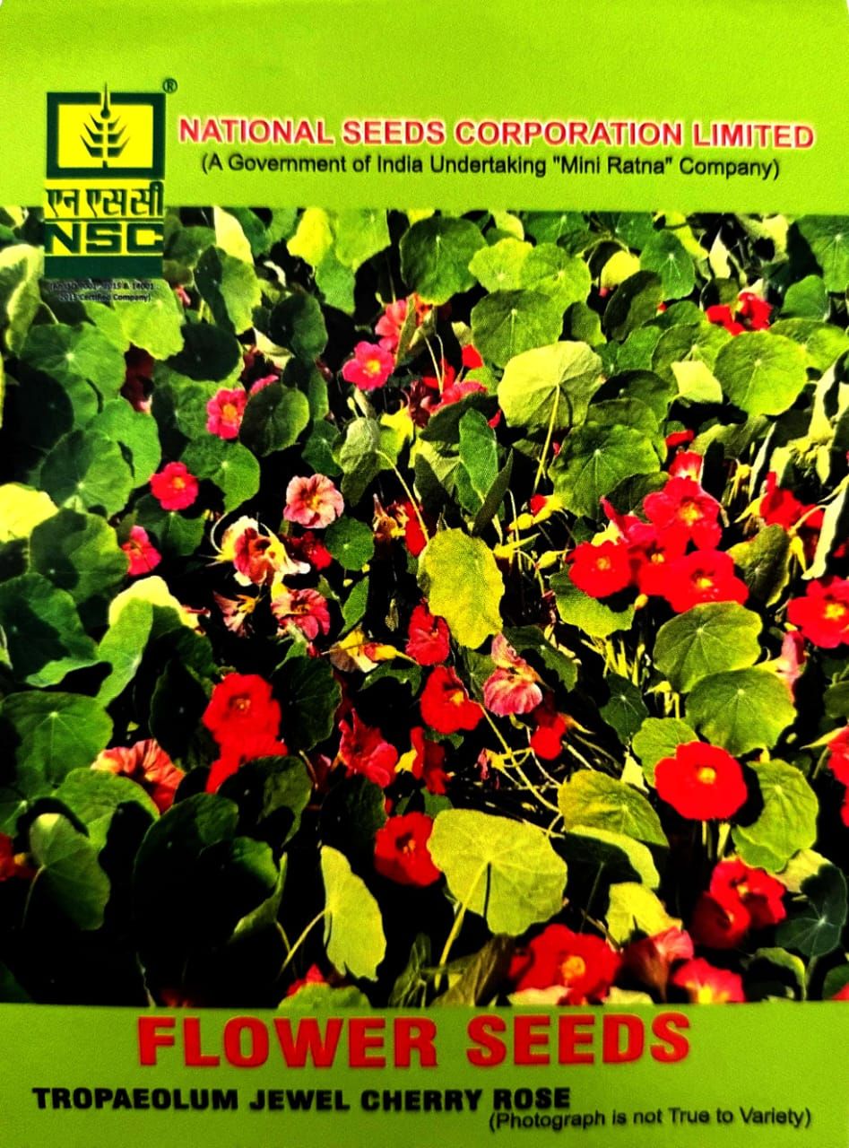NSC FLOWER SEED- Vibrant Red Trapaeolum Jewel Cherry Rose-10 gm