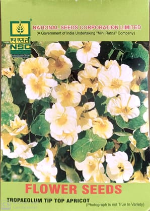 NSC Tropaeolum Tip Top Apricot Flower Seeds - Premium Quality Nasturtium