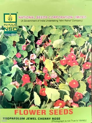NSC Tropaeolum Jewel Cherry Rose Flower Seeds