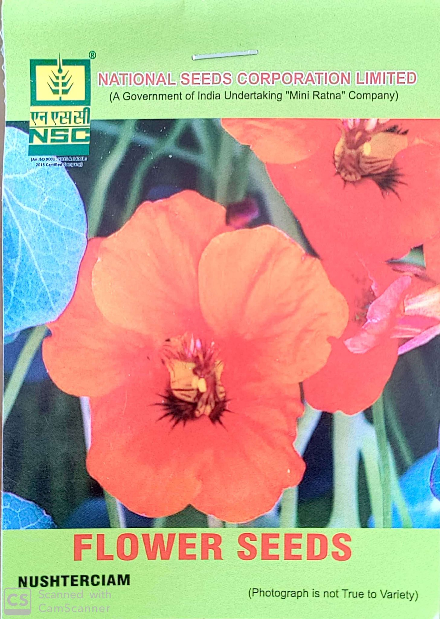 NSC National Seeds Corporation Nasturtium Flower Seeds for Vibrant Garden