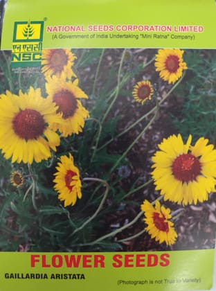 NSC FLOWER SEED -Vibrant Yellow Gaillardia Aristata Seed - 5 gm NSC FLOWER SEED -Vibrant Yellow Gaillardia Aristata Seed - 5 gm