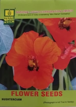 NSC Nasturtium Flower Seeds for Vibrant Gardens & Edible Blooms