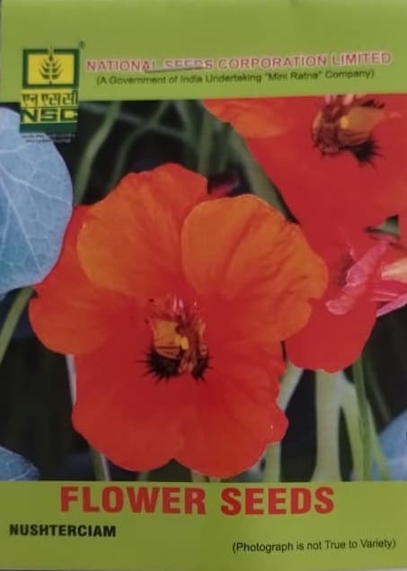 NSC Nasturtium Flower Seeds for Vibrant Gardens & Edible Blooms