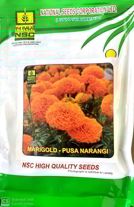 NSC Marigold Pusa Narangi High Quality Flower Seeds