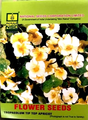 NSC Tropaeolum Tip Top Apricot Flower Seeds NSC Tropaeolum Tip Top Apricot Flower Seeds