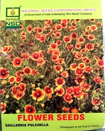 Gaillardia Pulchella Flower Seeds - NSC for Vibrant Garden Blooms Gaillardia Pulchella Flower Seeds - NSC for Vibrant Garden Blooms